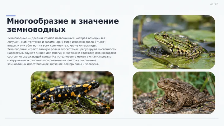 Пример слайда: Многообразие земноводных на слайде